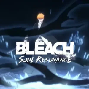 BLEACH Soul Resonance